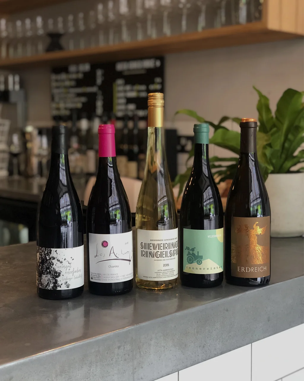 Vinous Venus.jpg