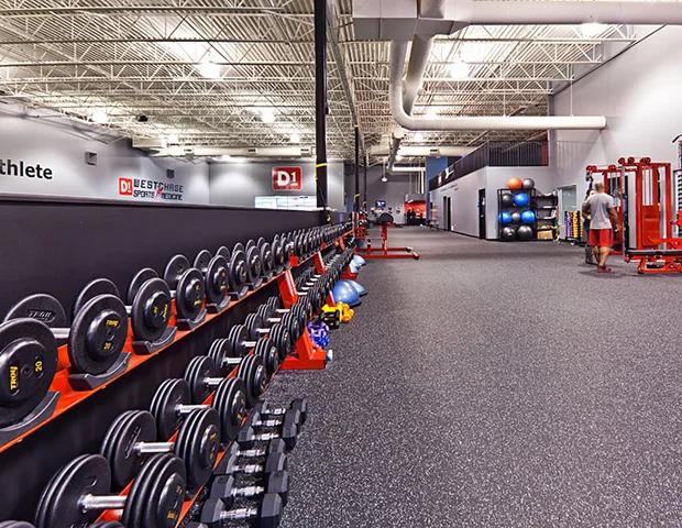 D1_Sports_weights.jpg