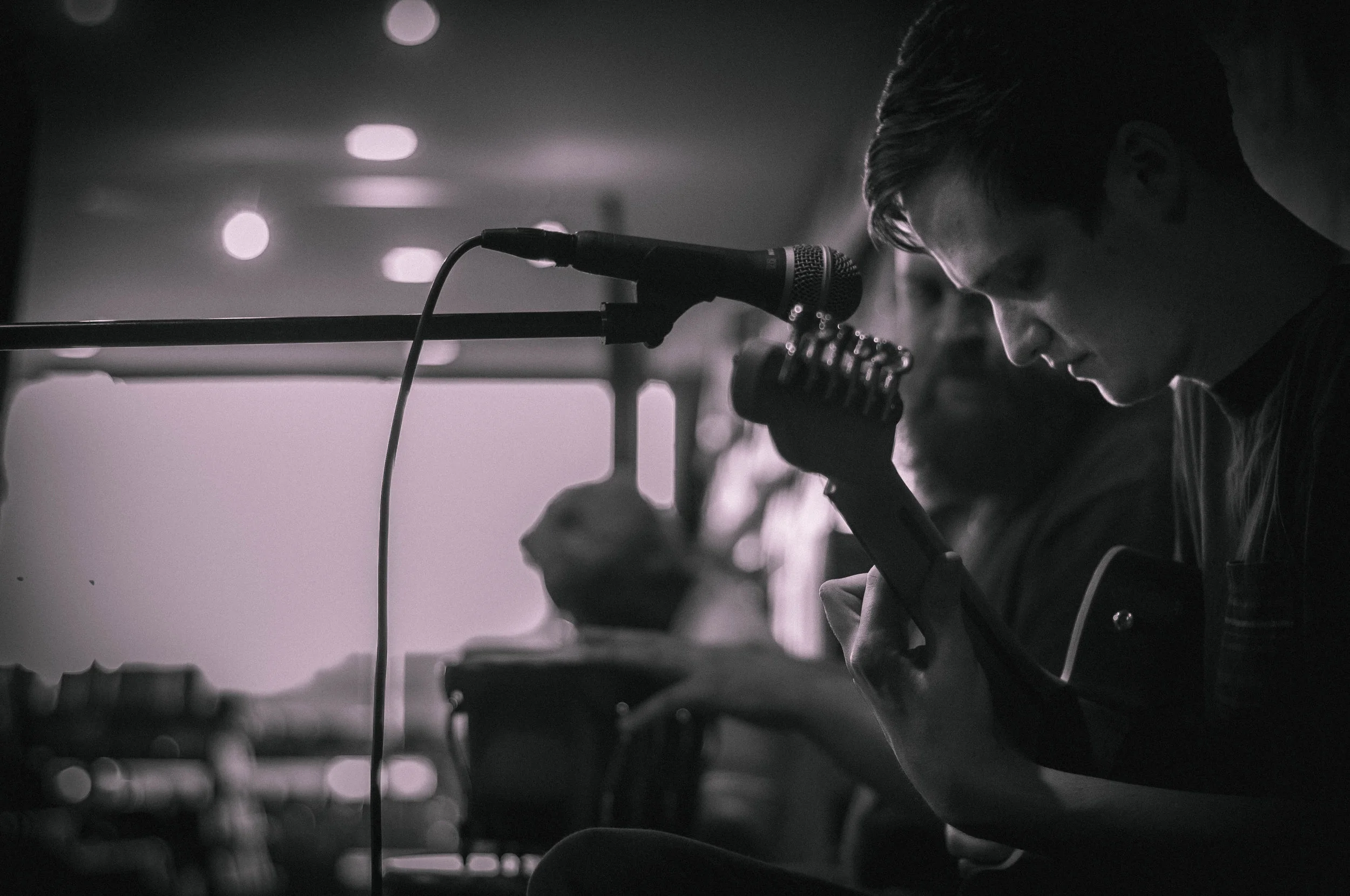 foxing_ltcds_8.6.18-5.jpg