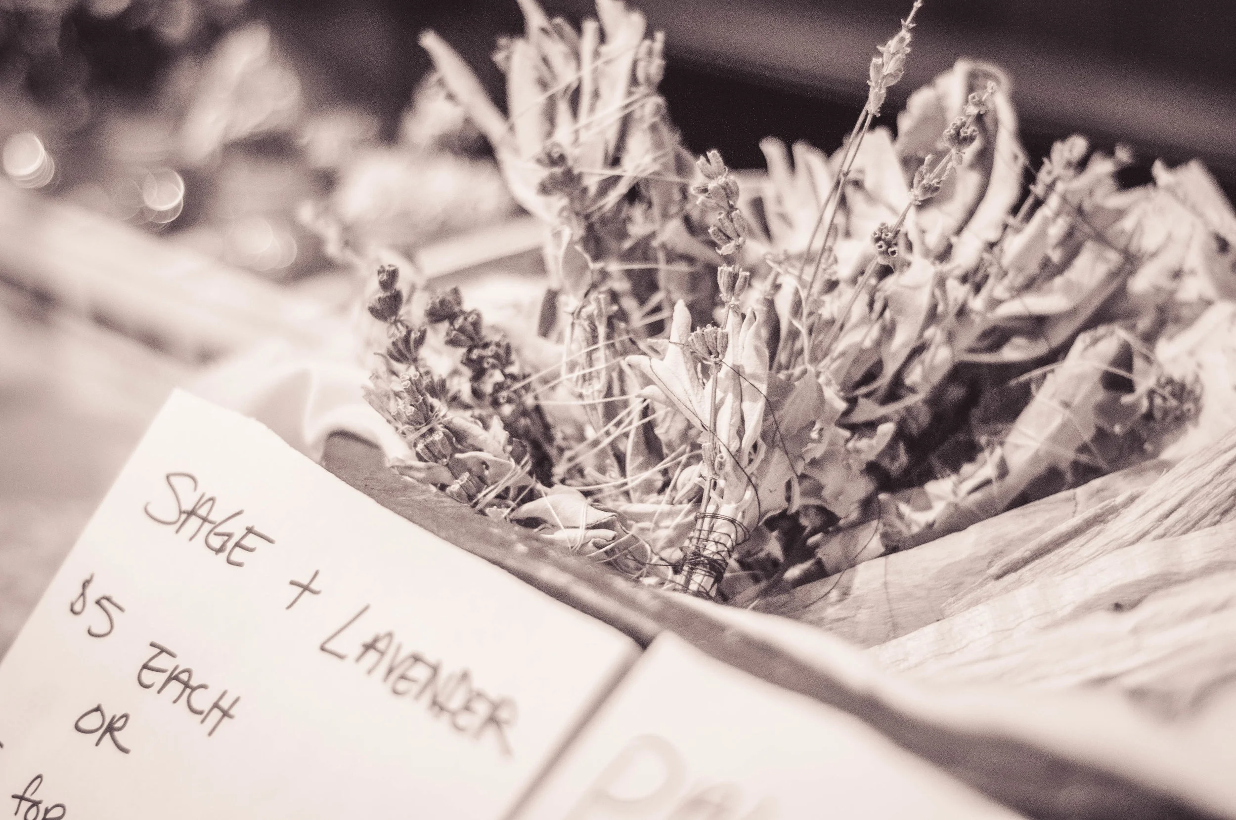 bnf_holiday_nov3018-14.jpg