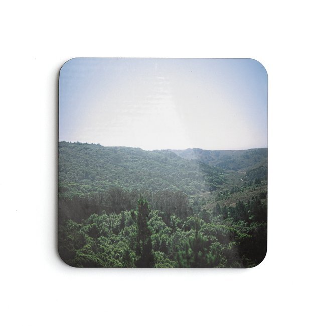 Redwood Coaster Preview.jpeg