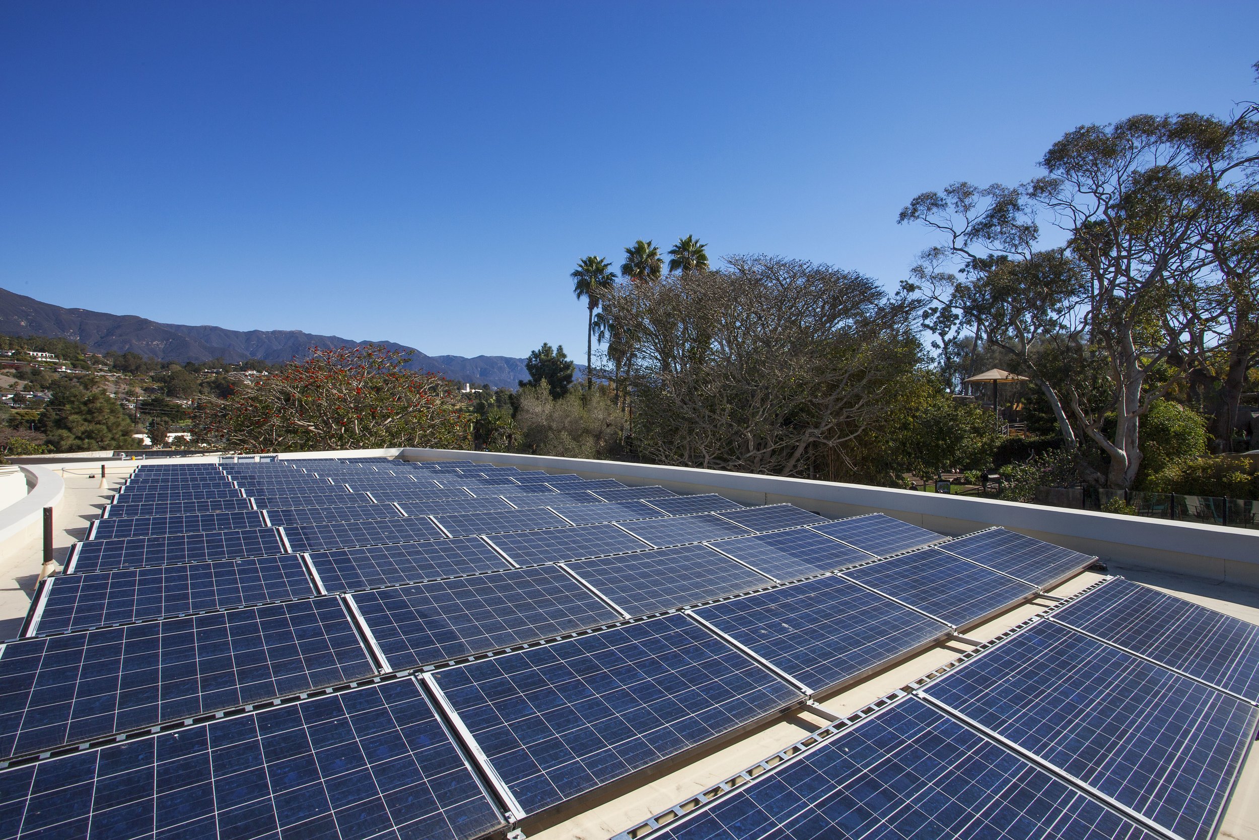 Zoo Solar Array.jpg