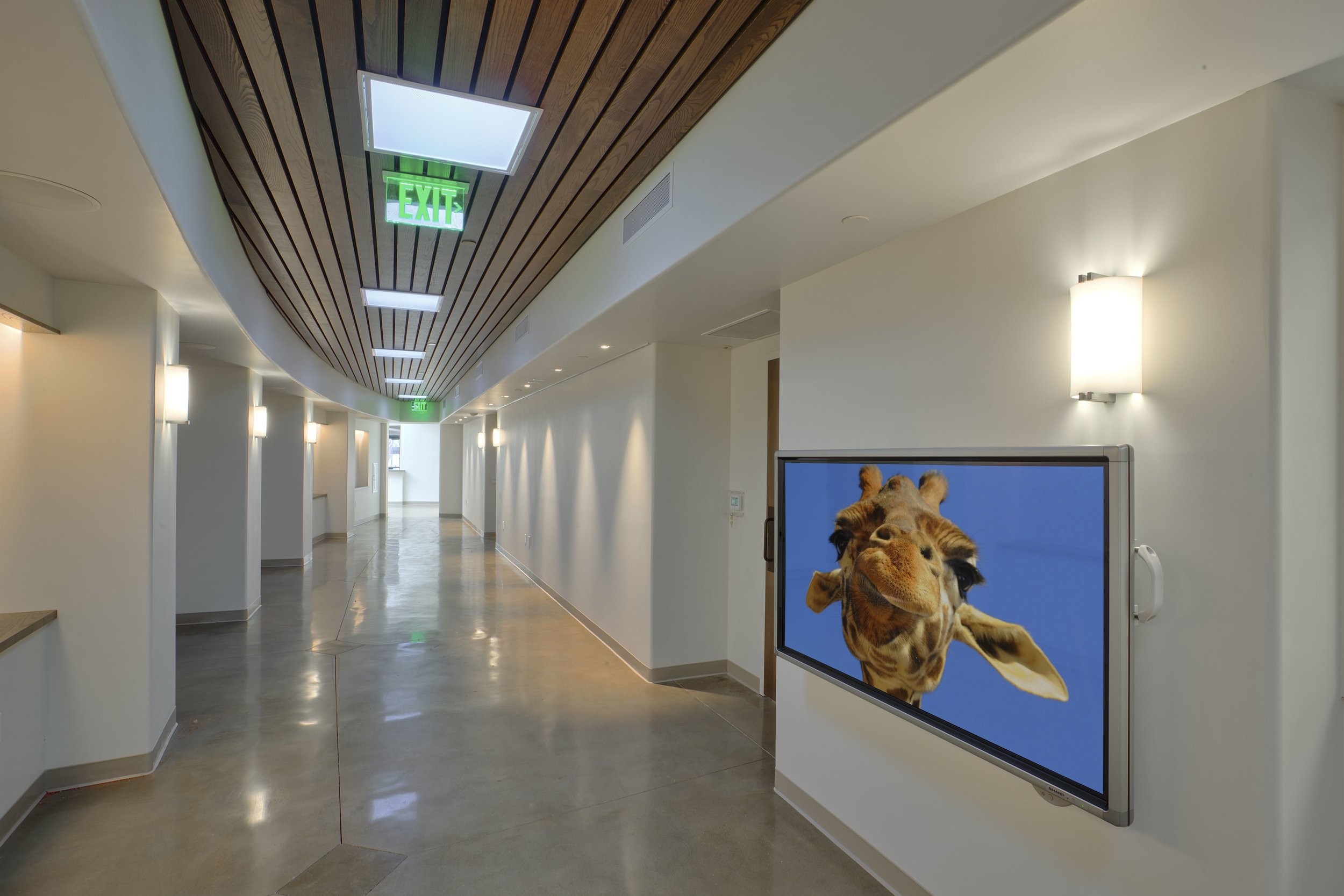 Zoo Hallway.jpg