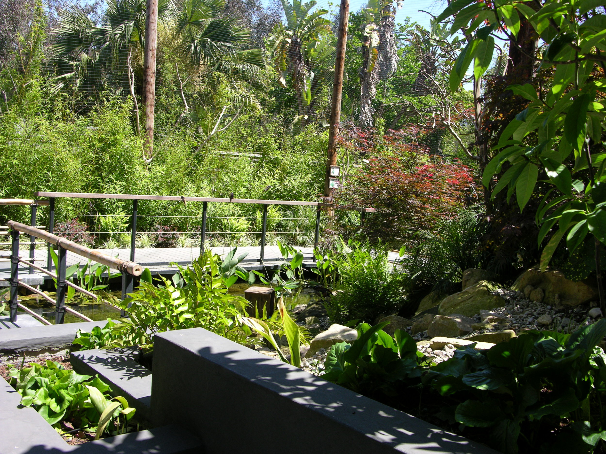 Santa Barbara Zoo - Wings of Asia Exhibit