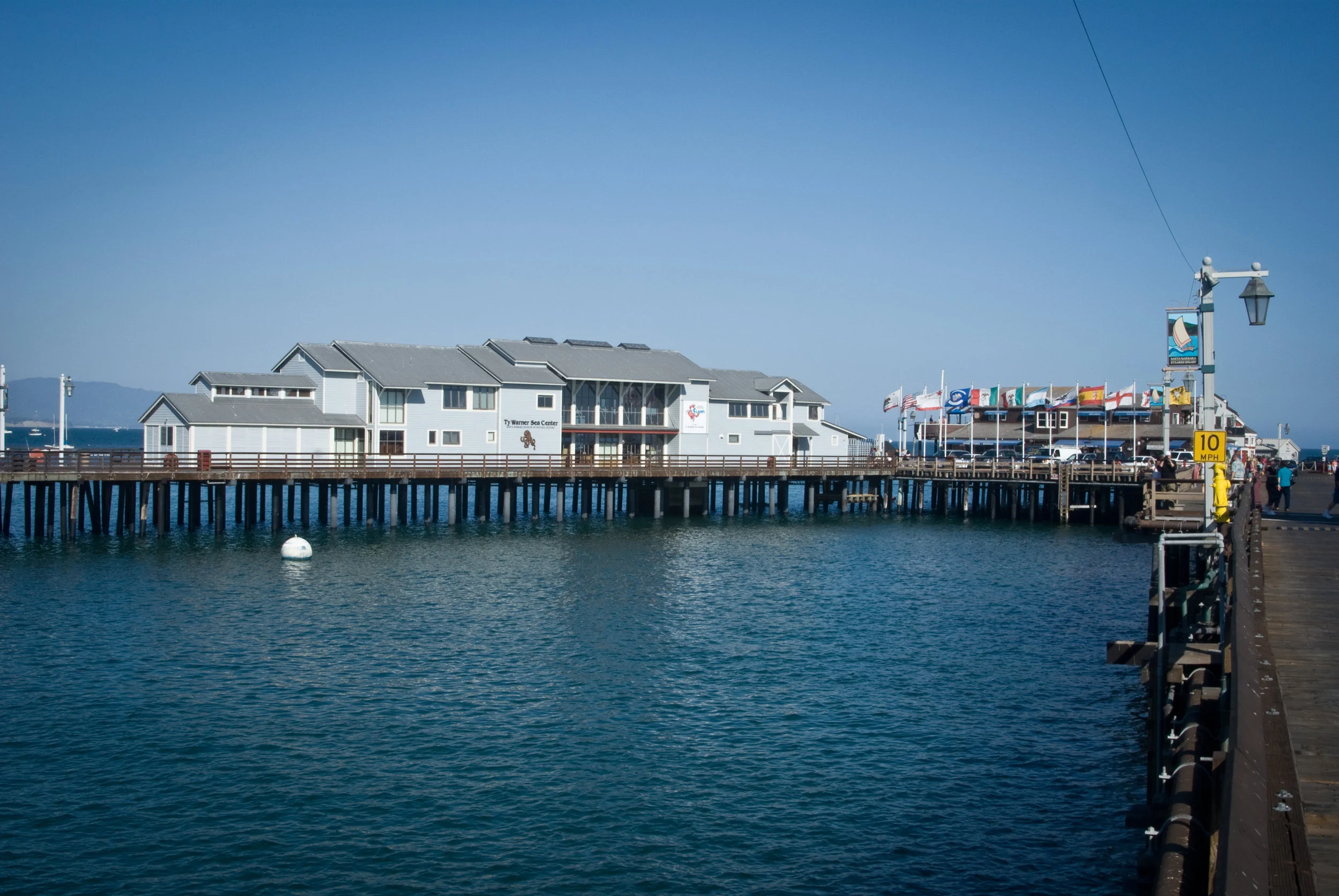 TyWarnerSeaCenter-2.jpg