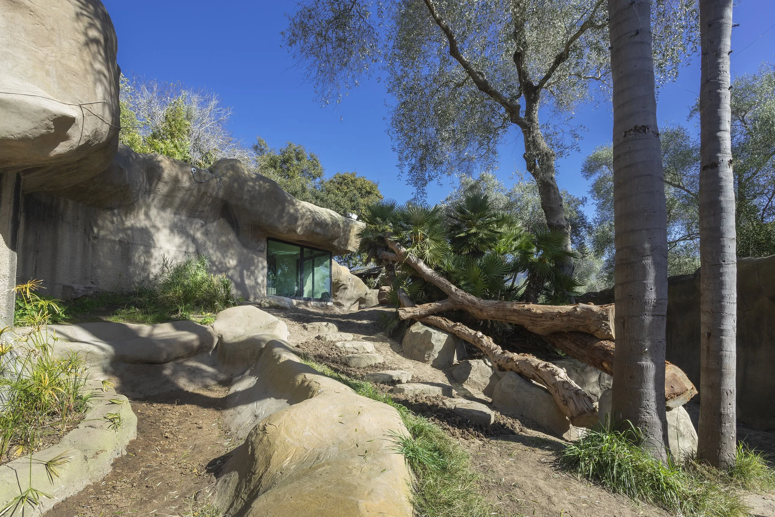 Santa Barbara Zoo - Gorilla Exhibit