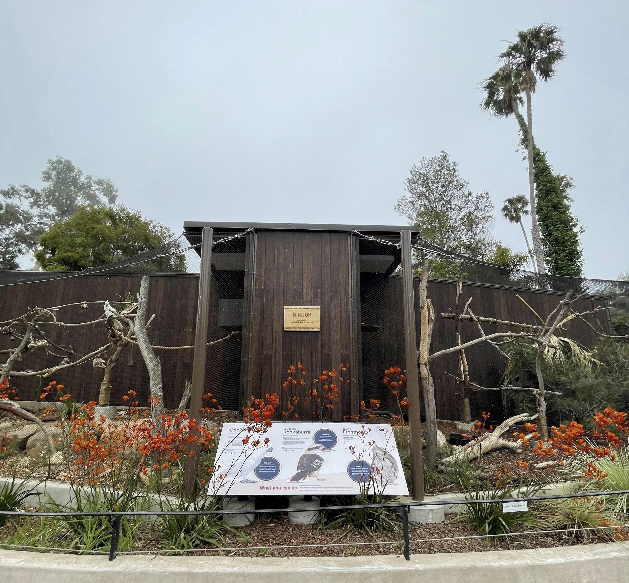 SB Zoo Walkabout-04.jpg