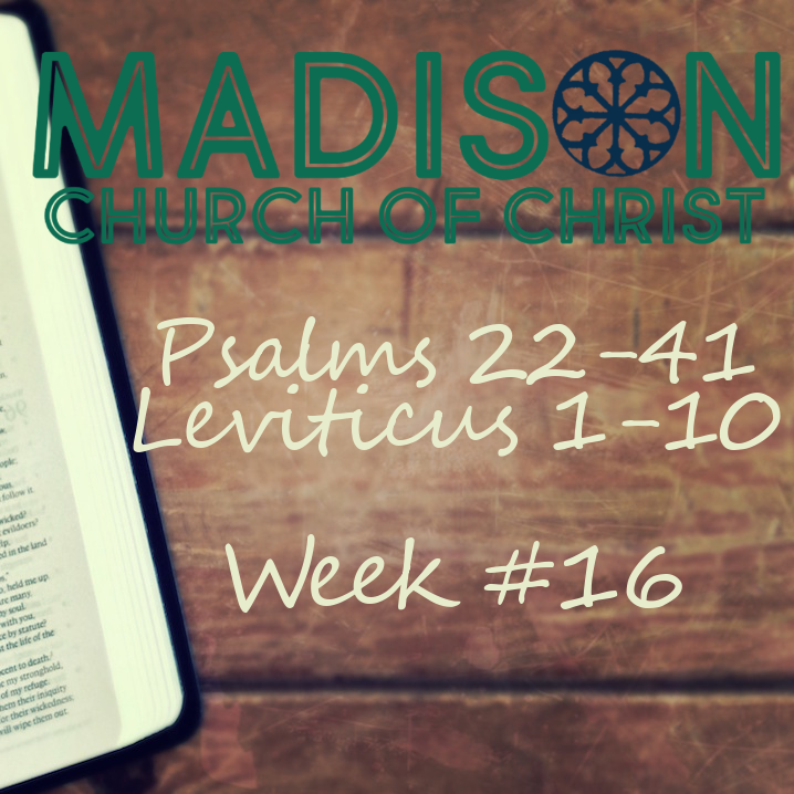 Week 16 Study Page - Psalm 22-41, Leviticus 1-10