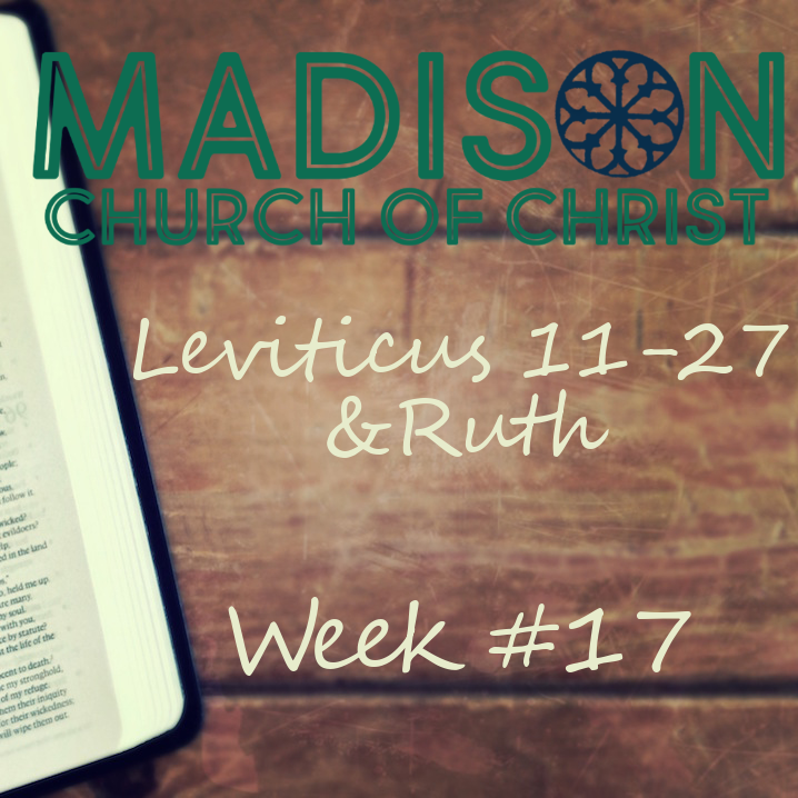 Week 17 Study Page - Leviticus 11-27, Ruth (1-4) 