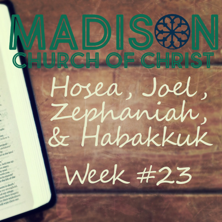 Week 23 Study Page - Hosea, Joel, Zephaniah &amp; Habakkuk 