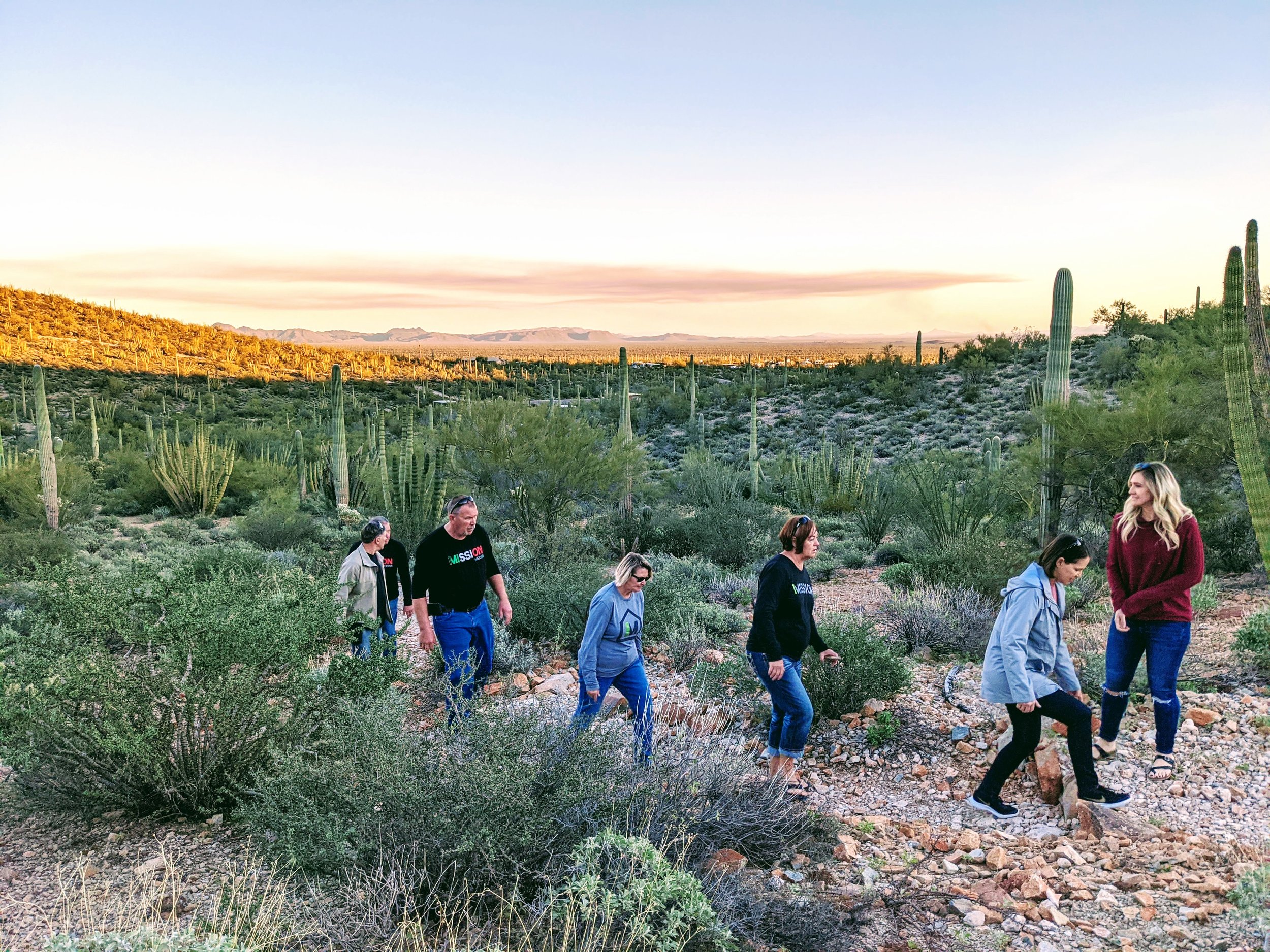 Organ Pipe Cactus National Monument  - 2020