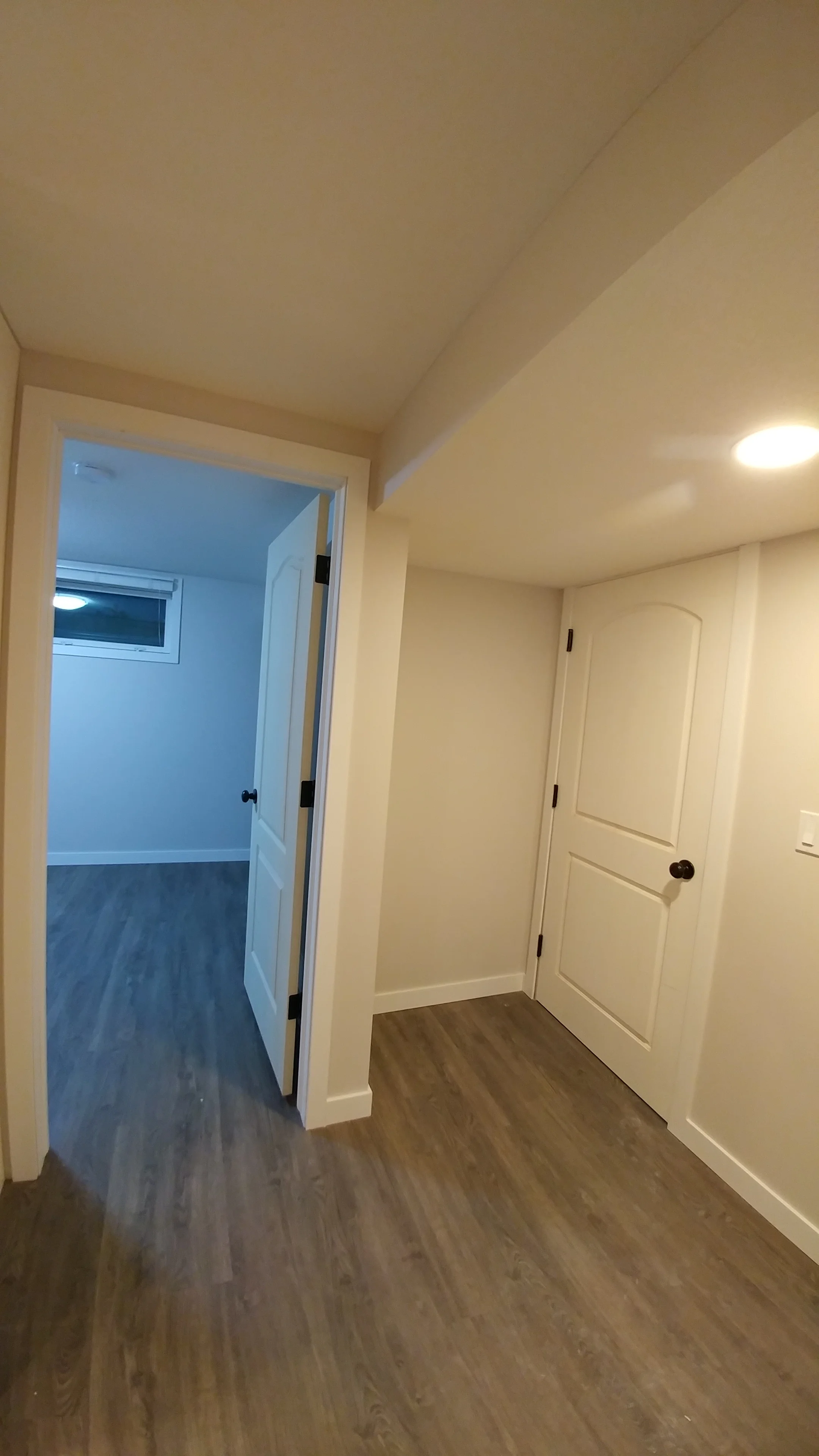 Basement Suite
