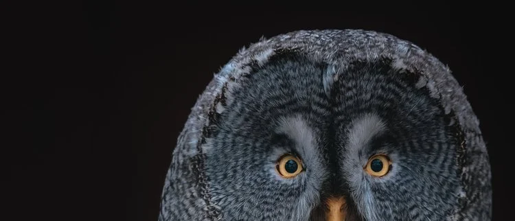 What Do You Despise About Yourself?