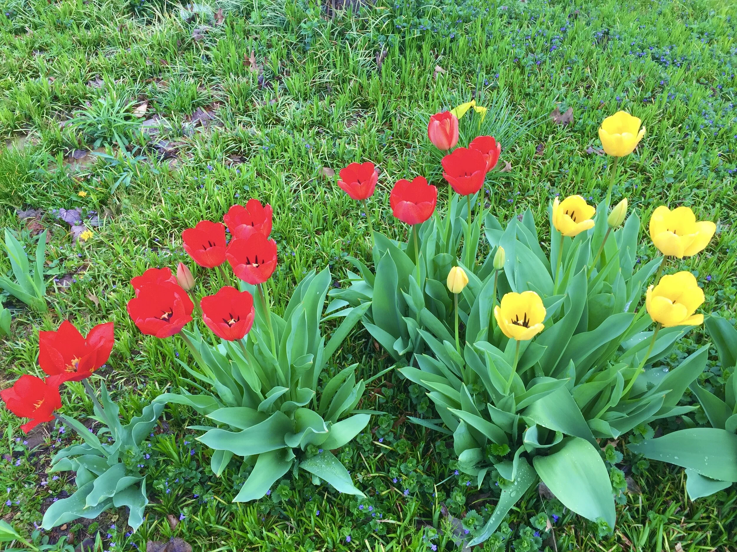 Wisdom Delights in the World and People