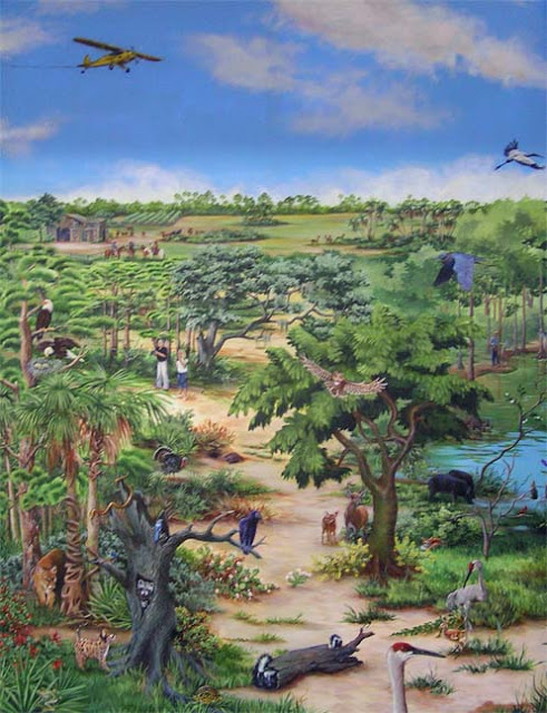 Panel #2 – Pine flatwoods, scrub, sandhill, hammocks and cypress swamp