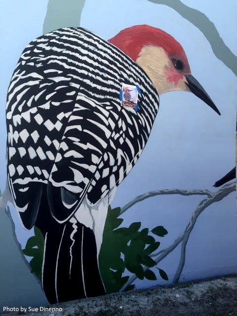 woodpecker2.jpg