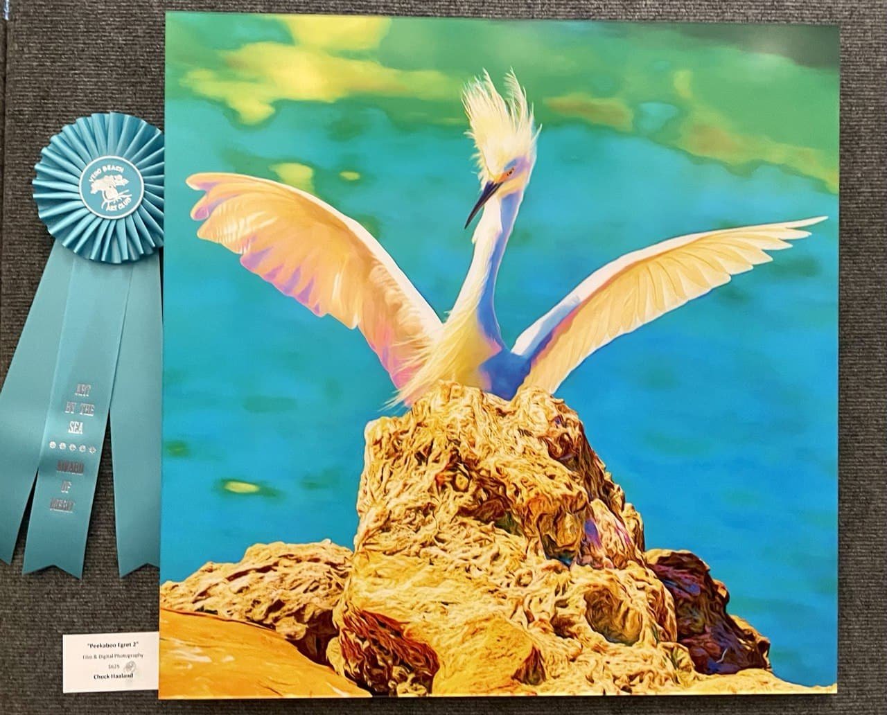Art By The Sea — Vero Beach Art Club