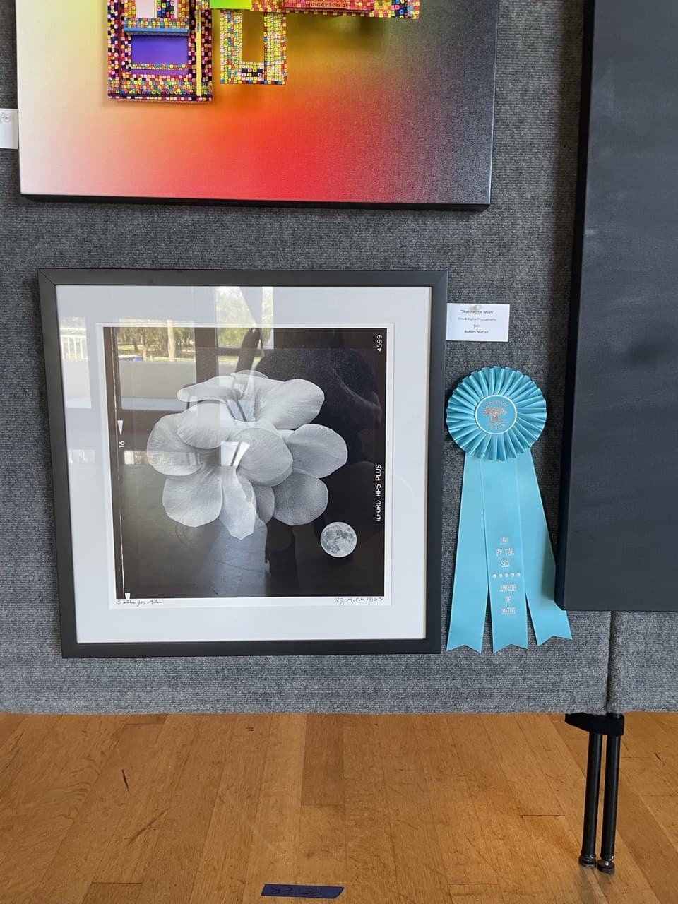 Art By The Sea — Vero Beach Art Club