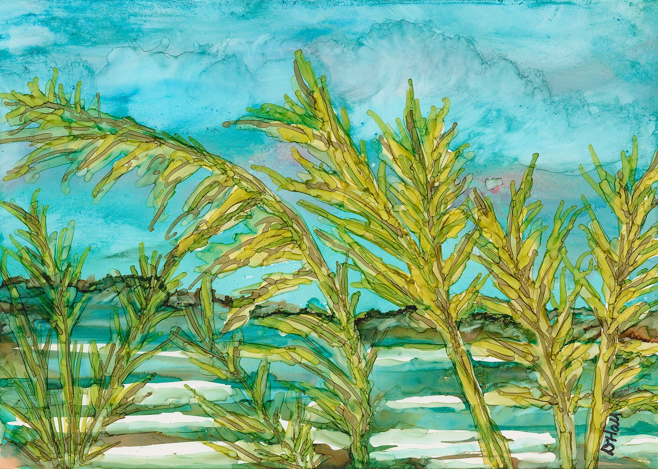 Scenic Vero — Vero Beach Art Club
