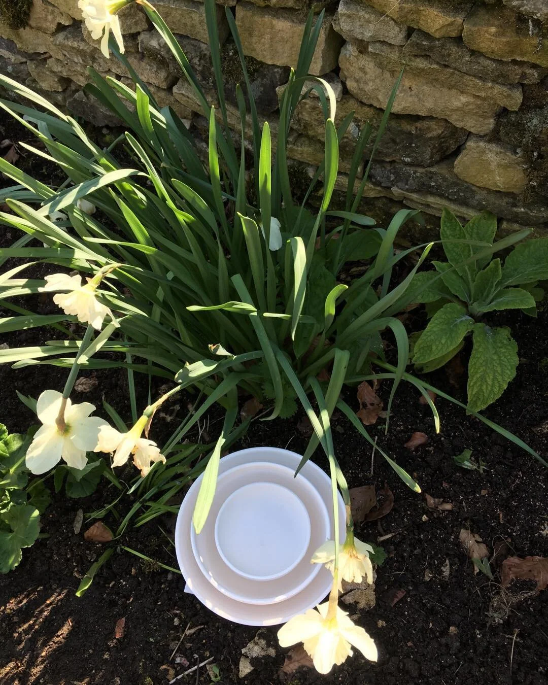 Nest of bowls, must be Spring!#potting #ceramics #Spring #workshops #stoneware