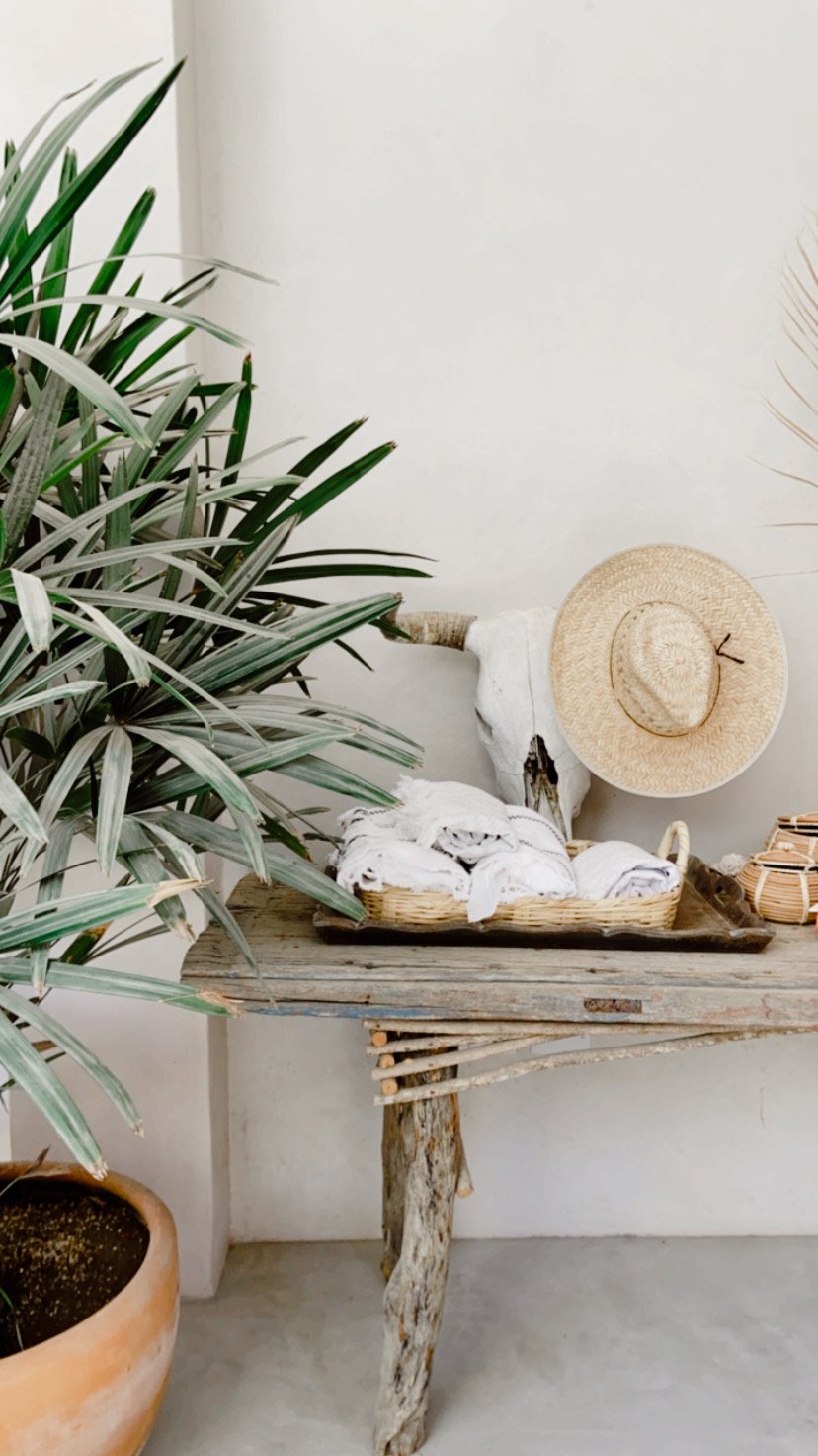 Todos Santos: A Mini Guide