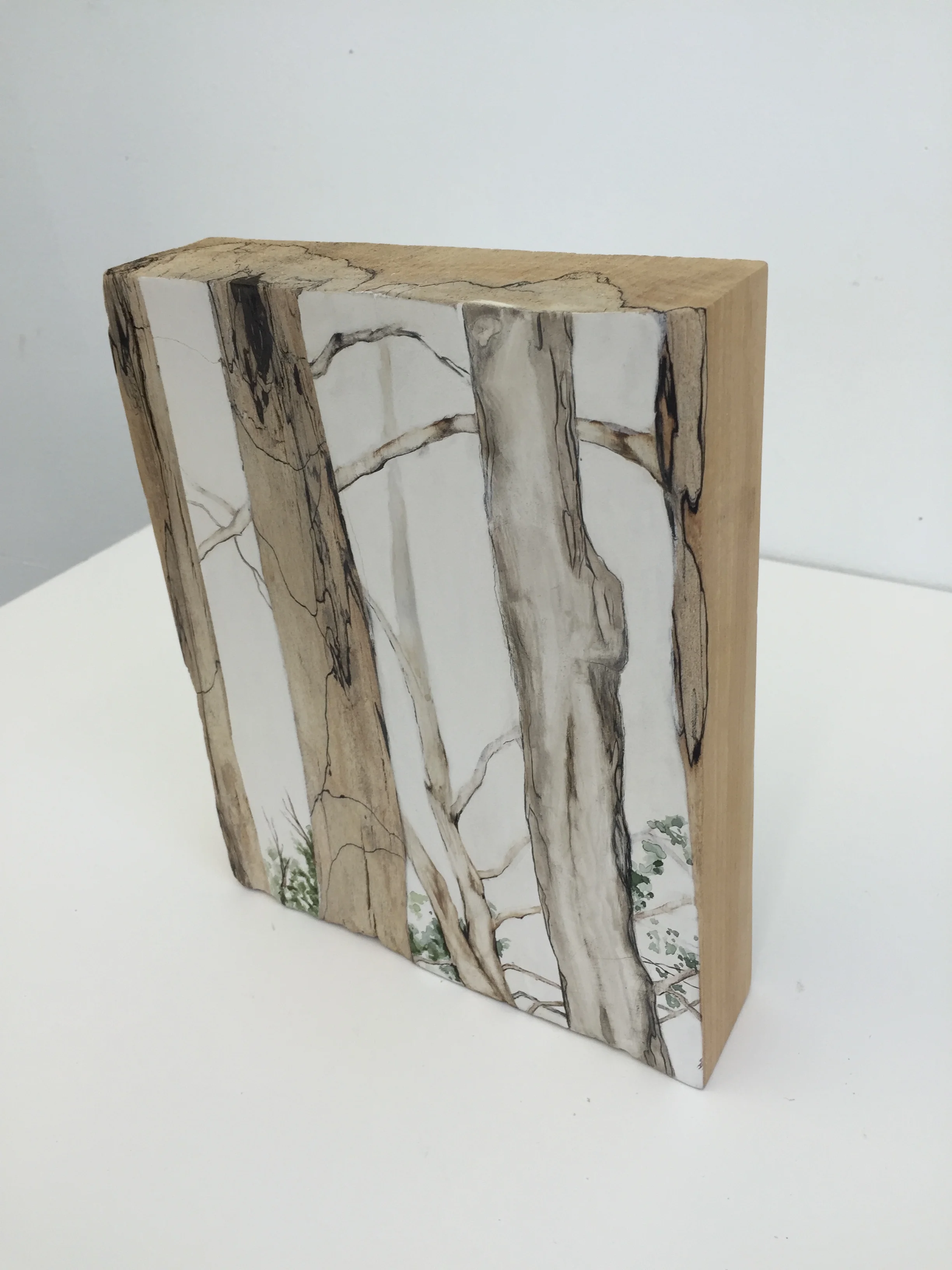 Spalted Bass (alternate view)