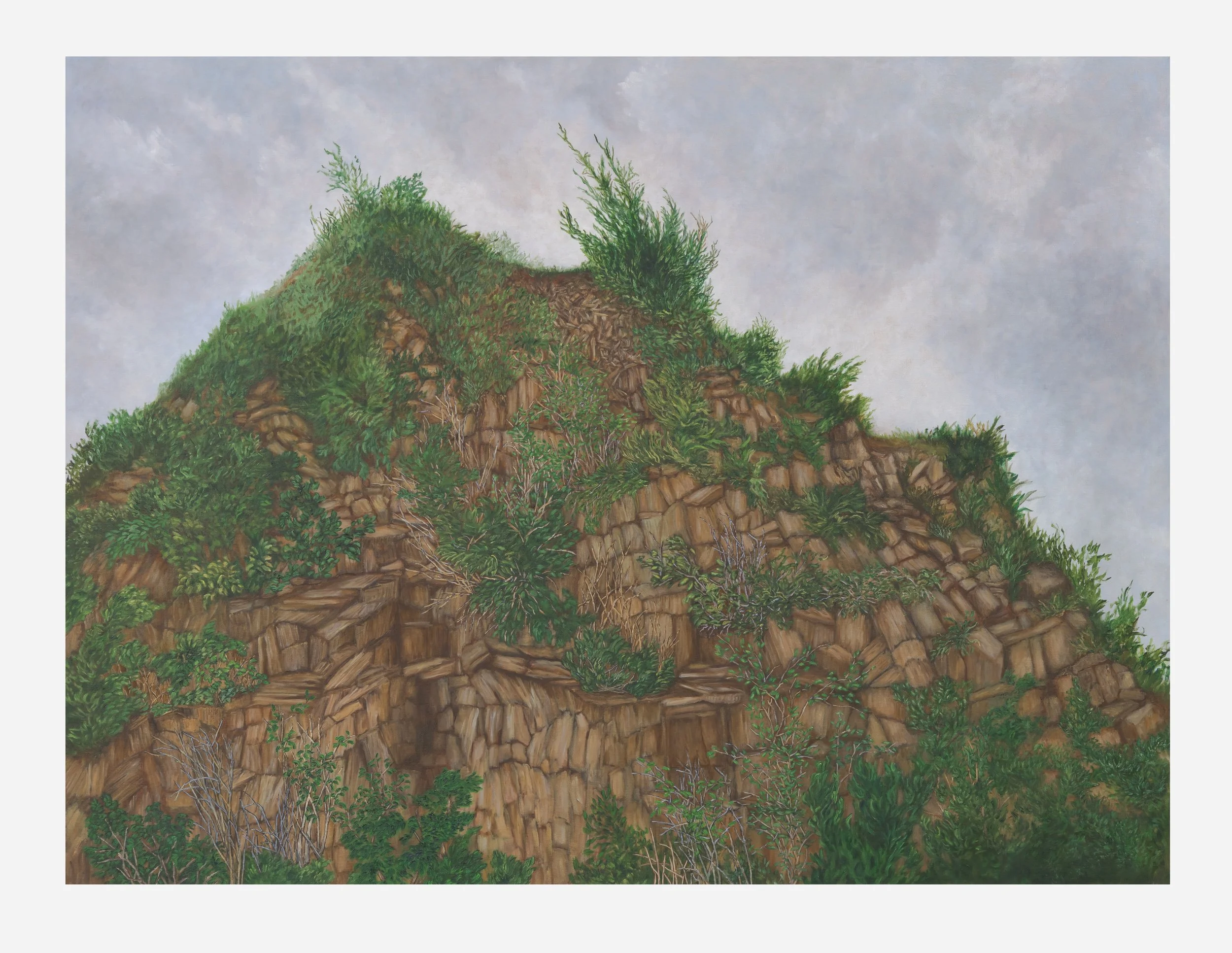 The Hill 