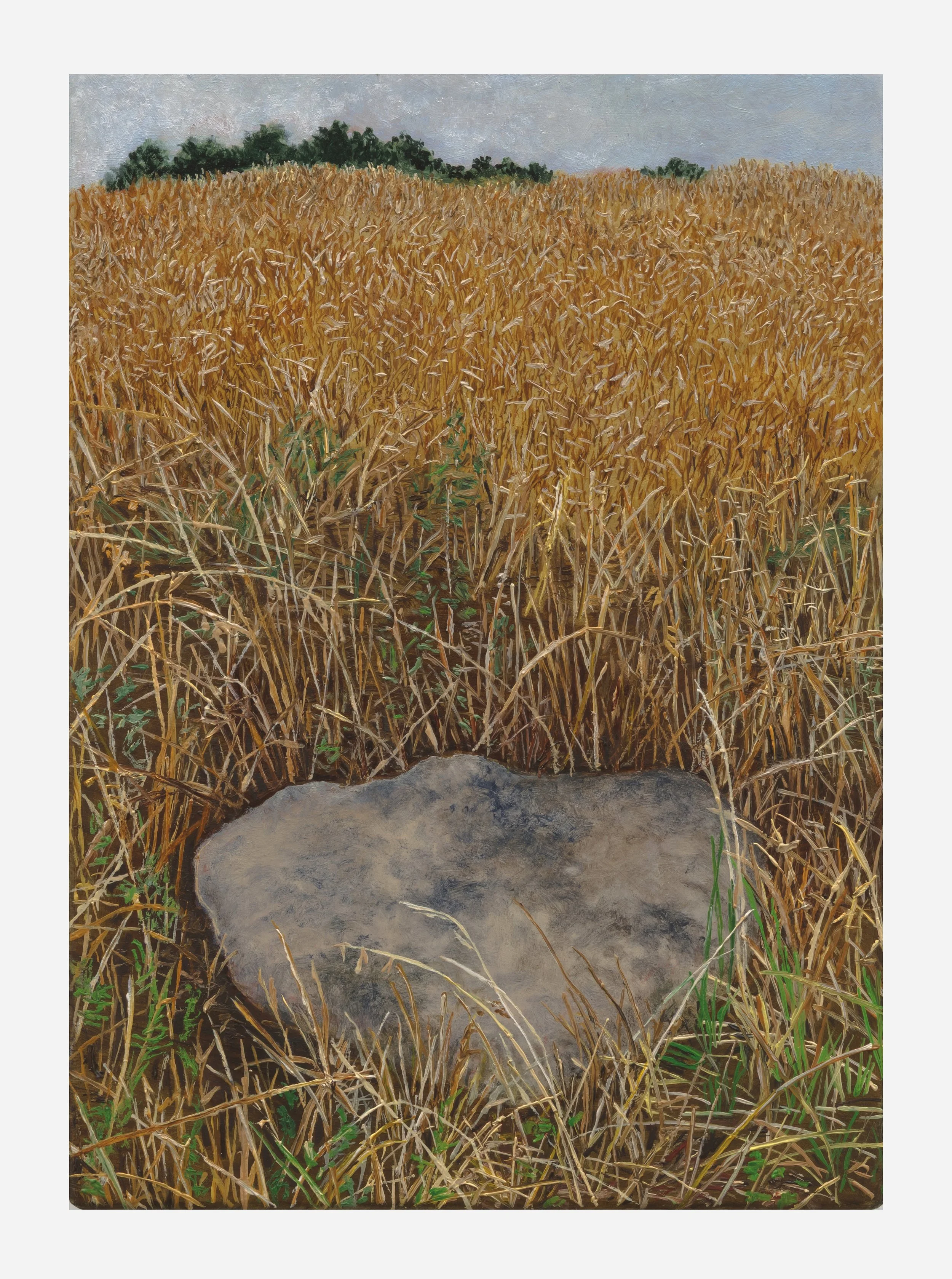 Field Stone