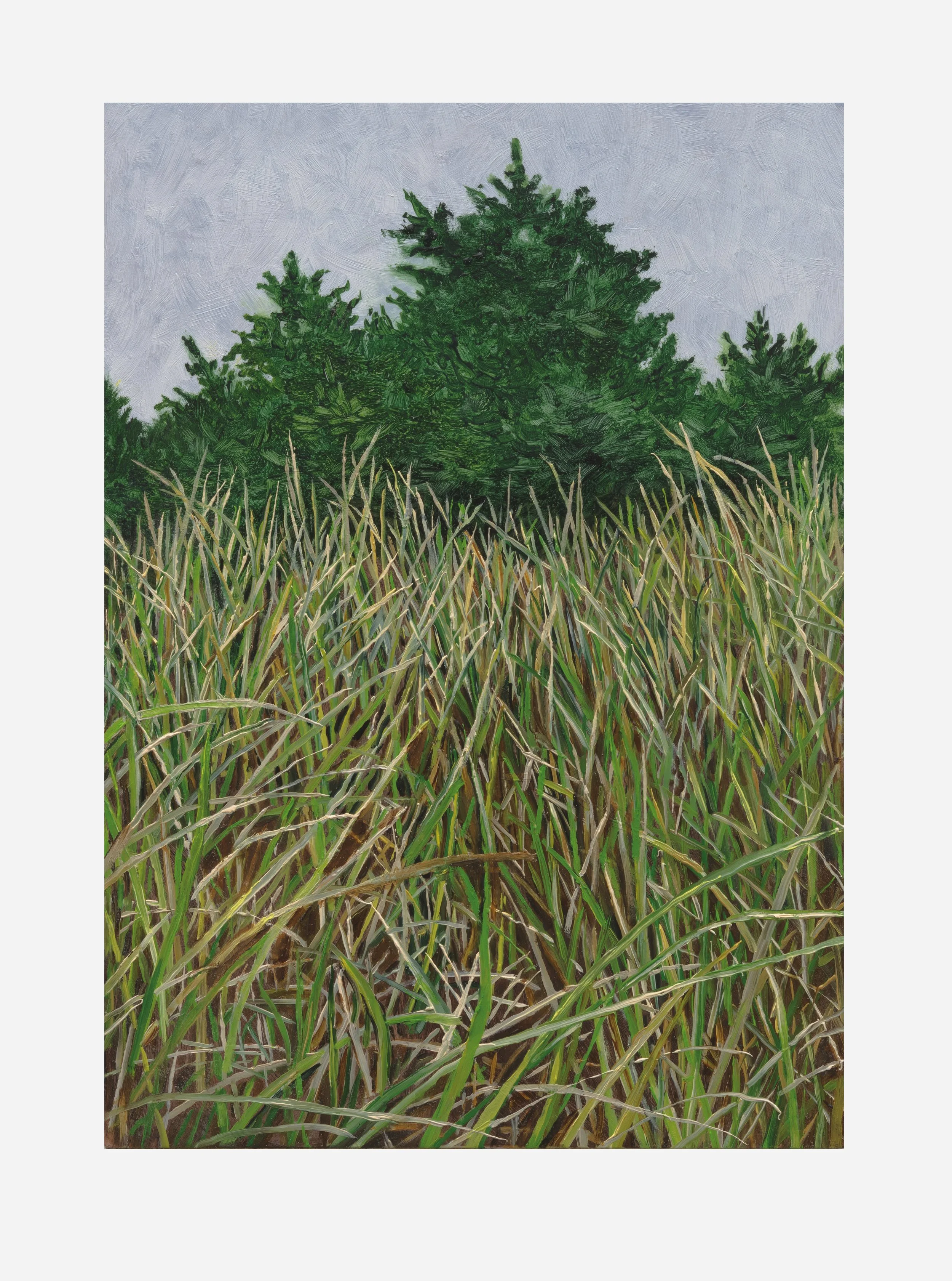 Perpetual Meadow