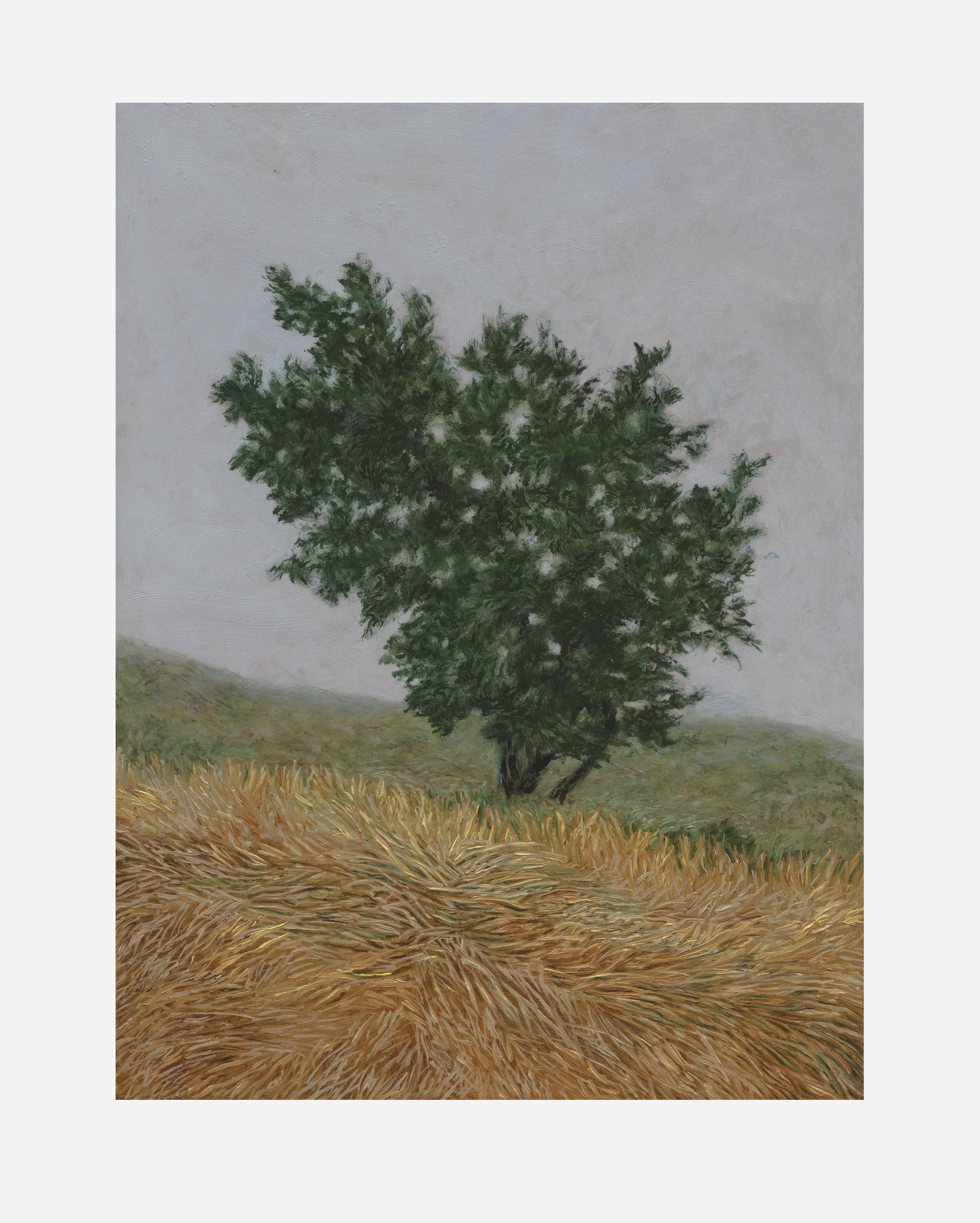 Ridge Tree