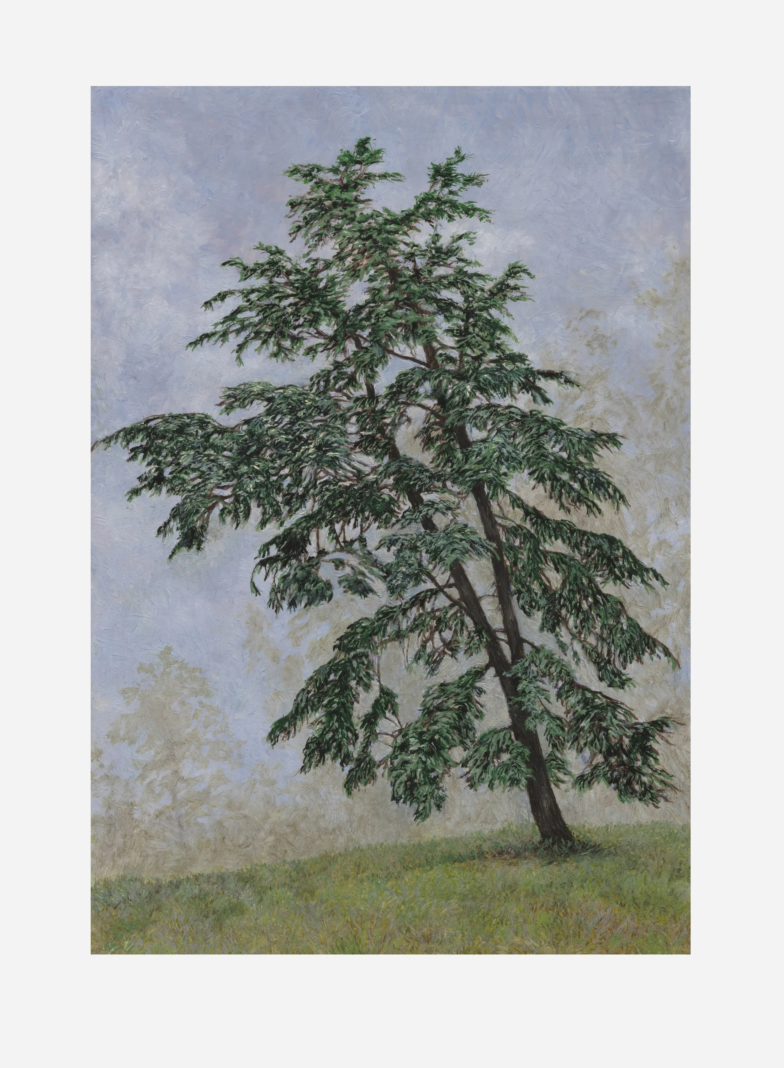 Royal Gardener's Tree