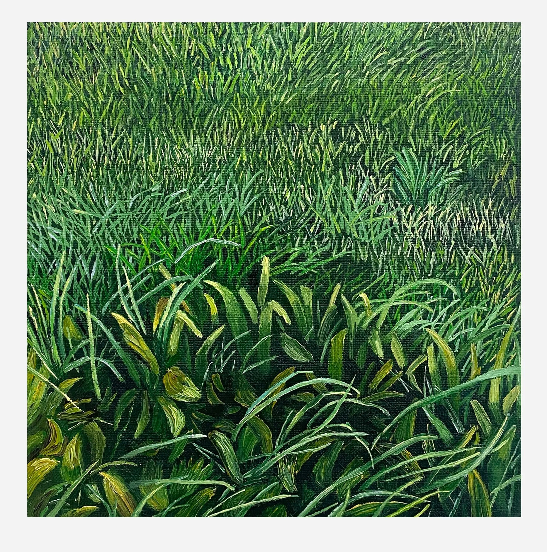 Lot 2-27
