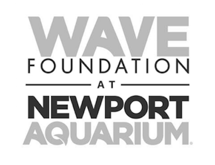 wave-foundation-logo.png