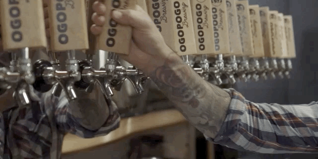 OgoPogo Craft Beer
