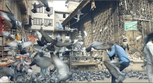 ETIHAD AIRLINES - LIFE IS WAITING