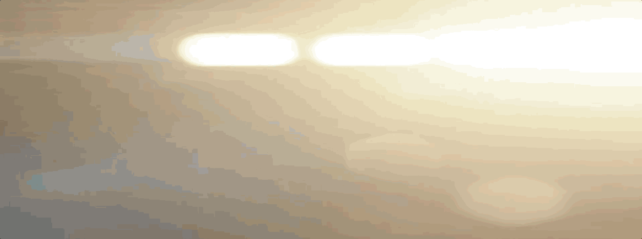 For The Love of Dirt