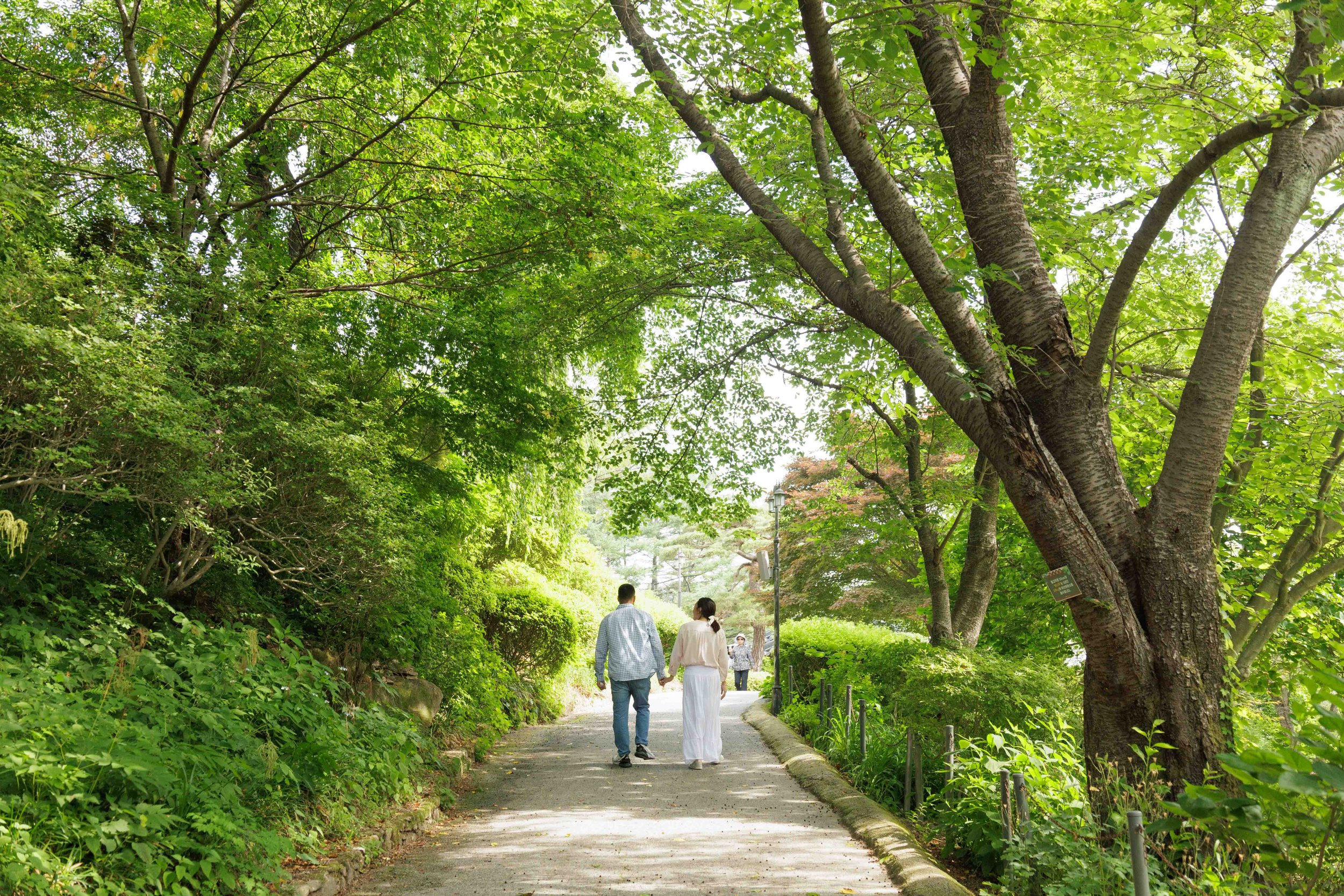 FW_Joo and Eunice Engagement Photos_96.jpg