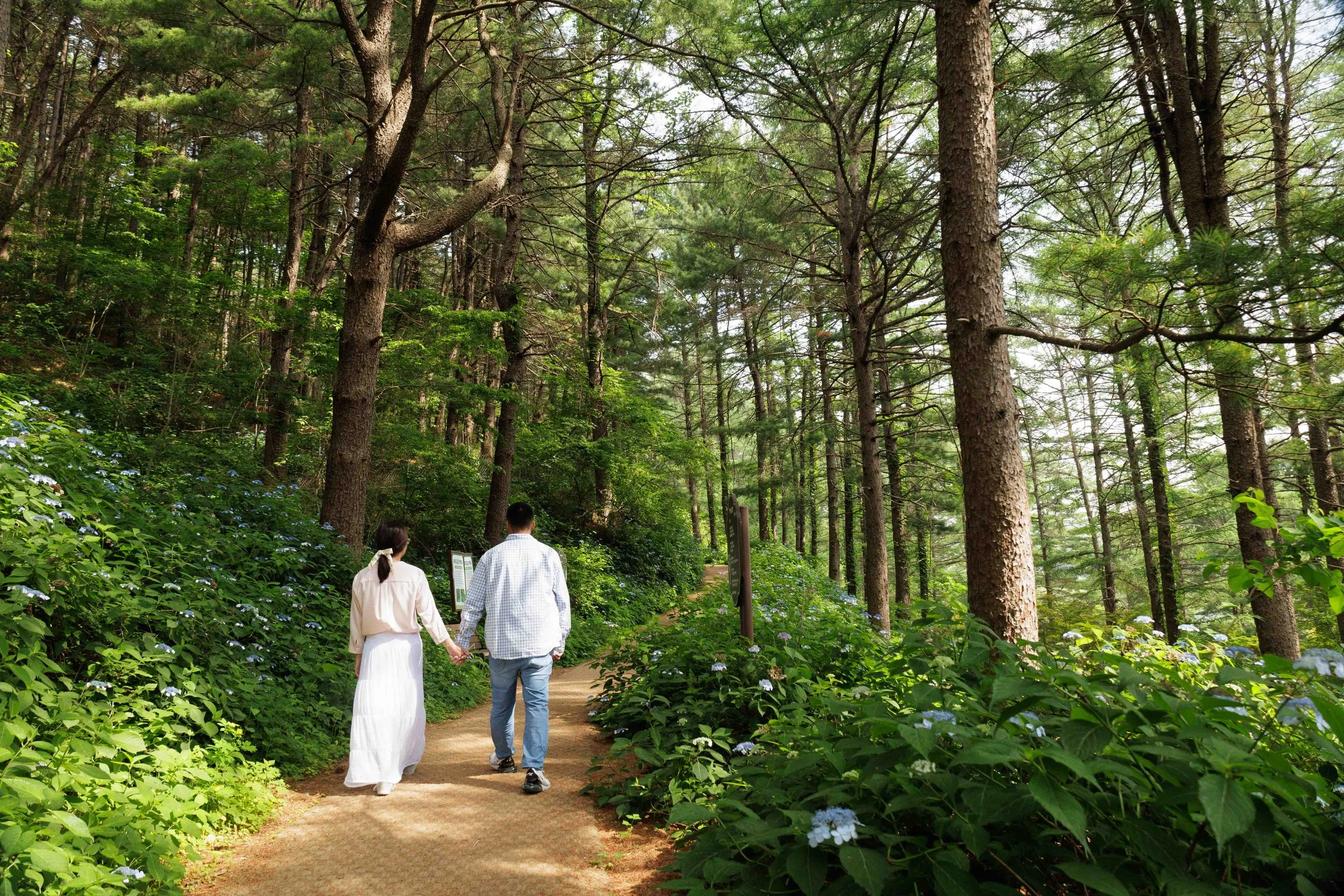 FW_Joo and Eunice Engagement Photos_101.jpg