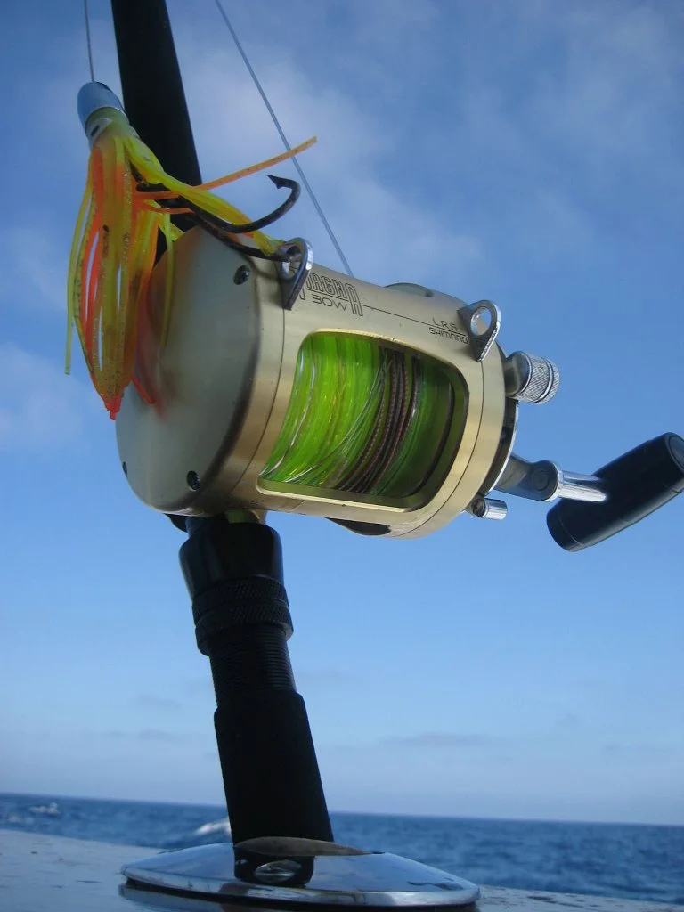 Half Day Agent Listing 