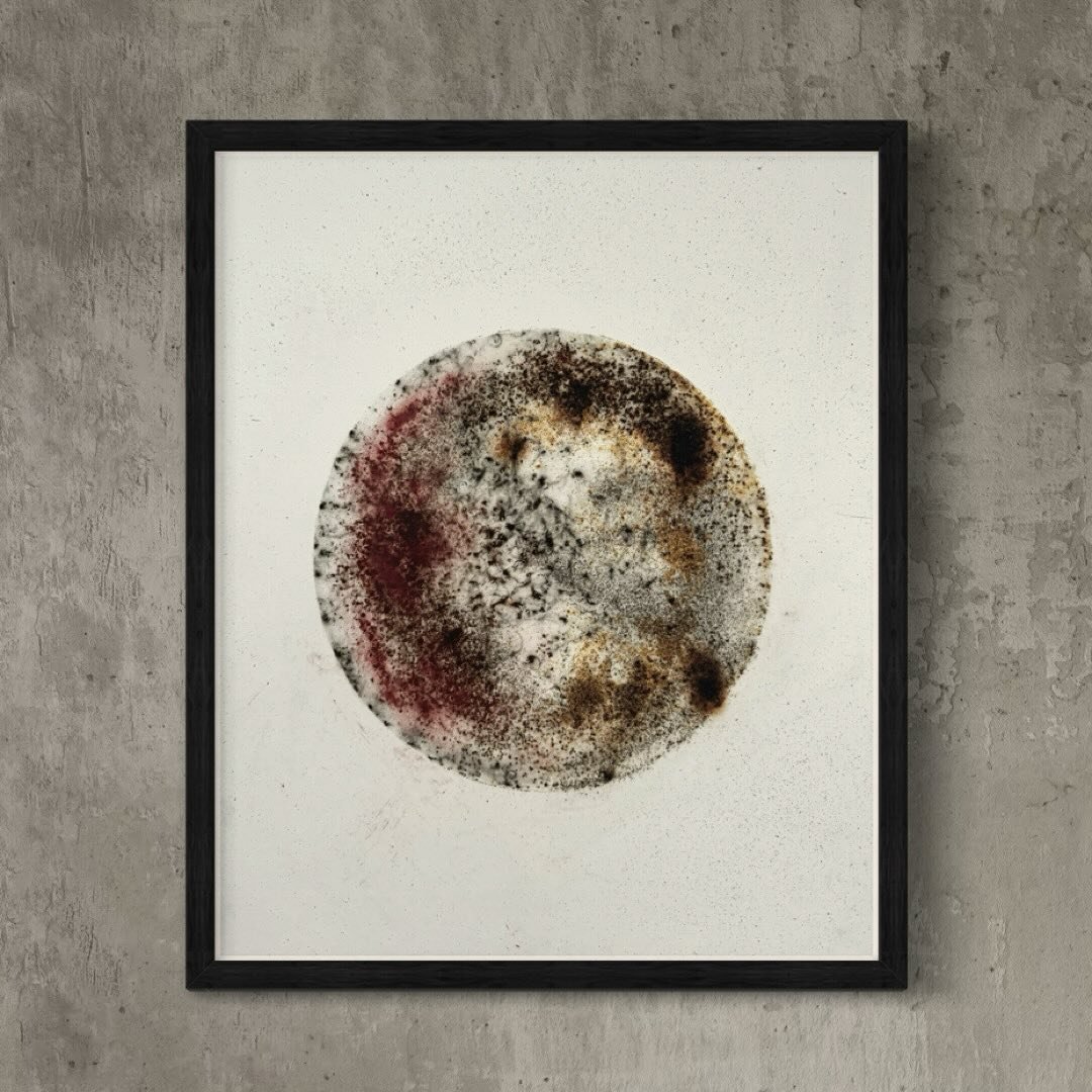 Trust. Conf&iacute;a ▪️
Vol.3, #3 (4 types of gunpowder, smoke and natural pigments)

#gunpowderart #smokeart #gunpowderartist #fire #smoke #fireart #art #artgallery