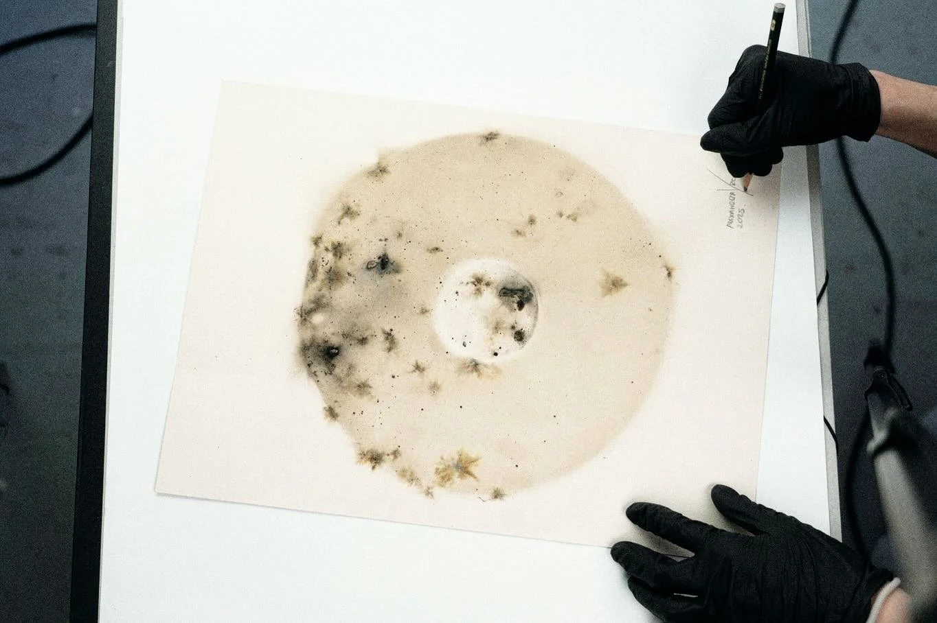 I had a feeling 🎲