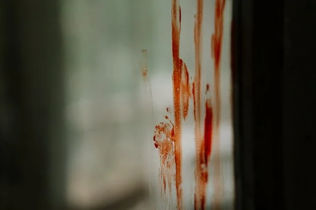 READ: CDC, Childhood Blood and Environmental Lead Levels Part 2 of 2
