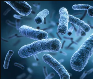 WATCH: CDC - Legionellosis Outbreak Investigations Part 2 - Conducting Environmental Assessments