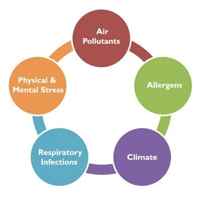 READ: Asthma Management Guidelines Part One