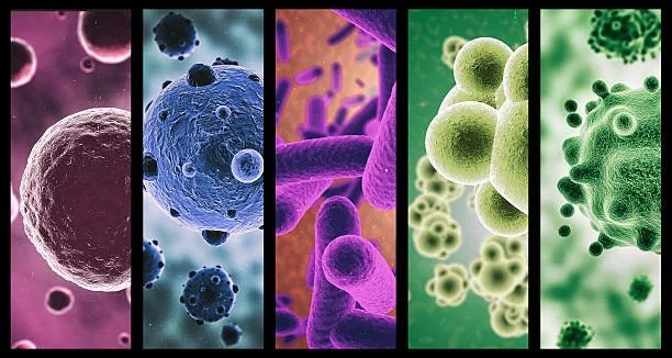 READ: Microbiology: Acellular Pathogens