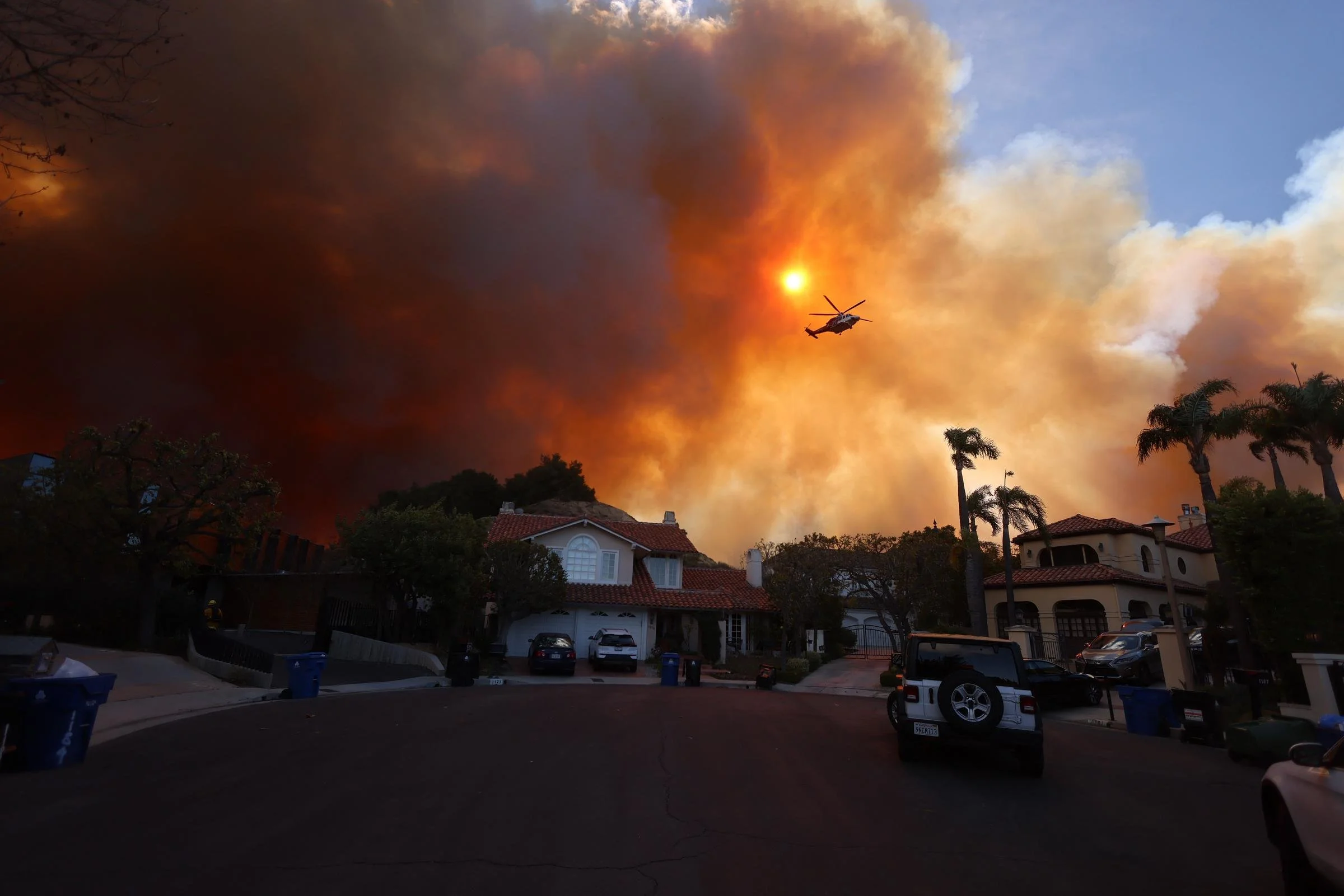 READ: Technical Guide for Wildfire Restoration