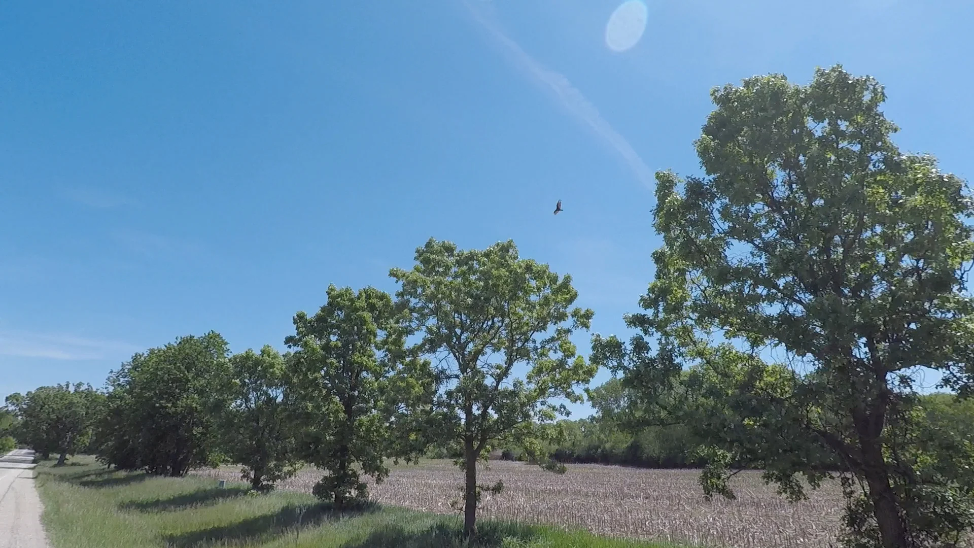 Bike Cam 3.jpg