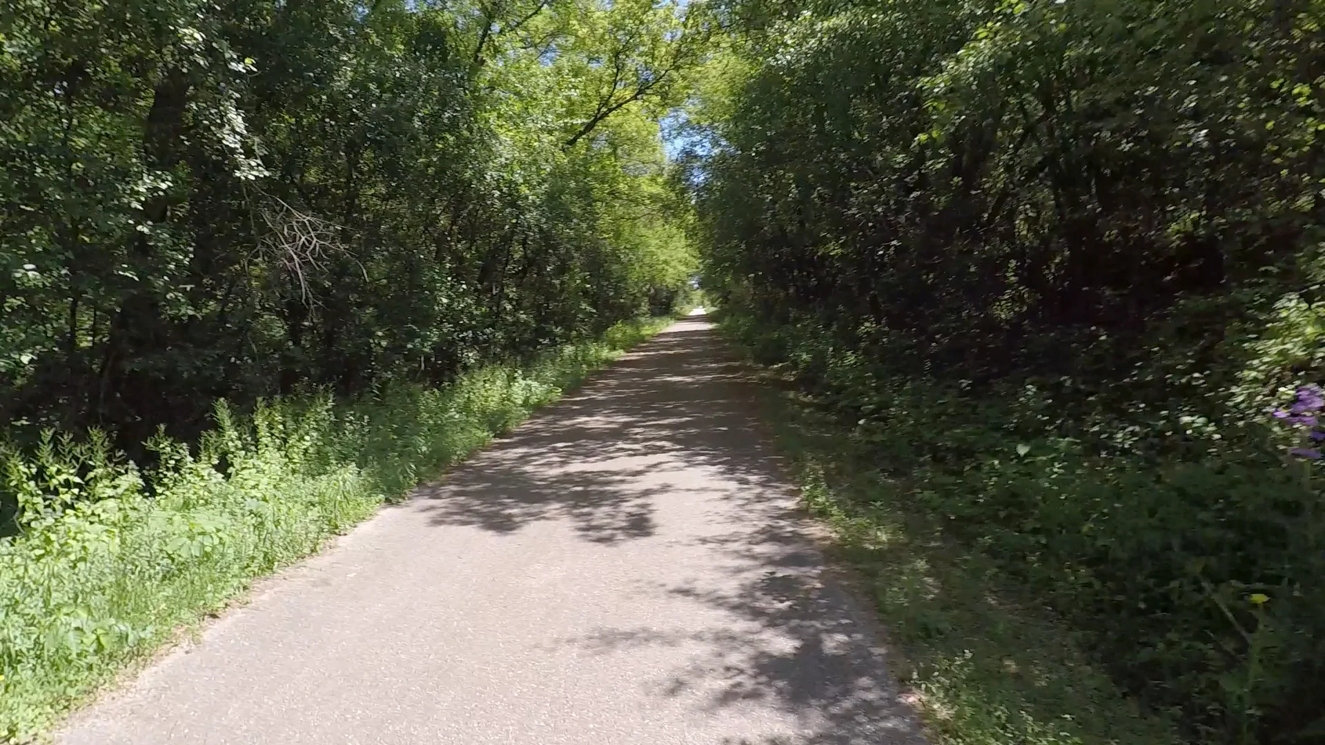 Bike Cam 5.jpg