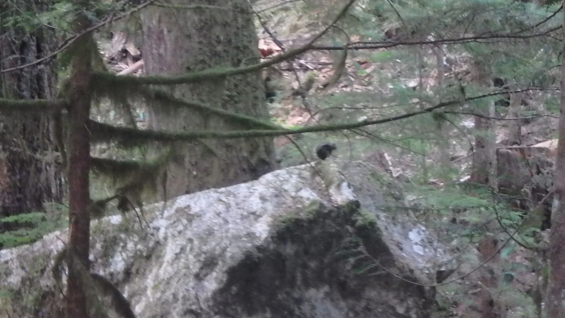 Well, well, except this little thing kept on yelling at me.
