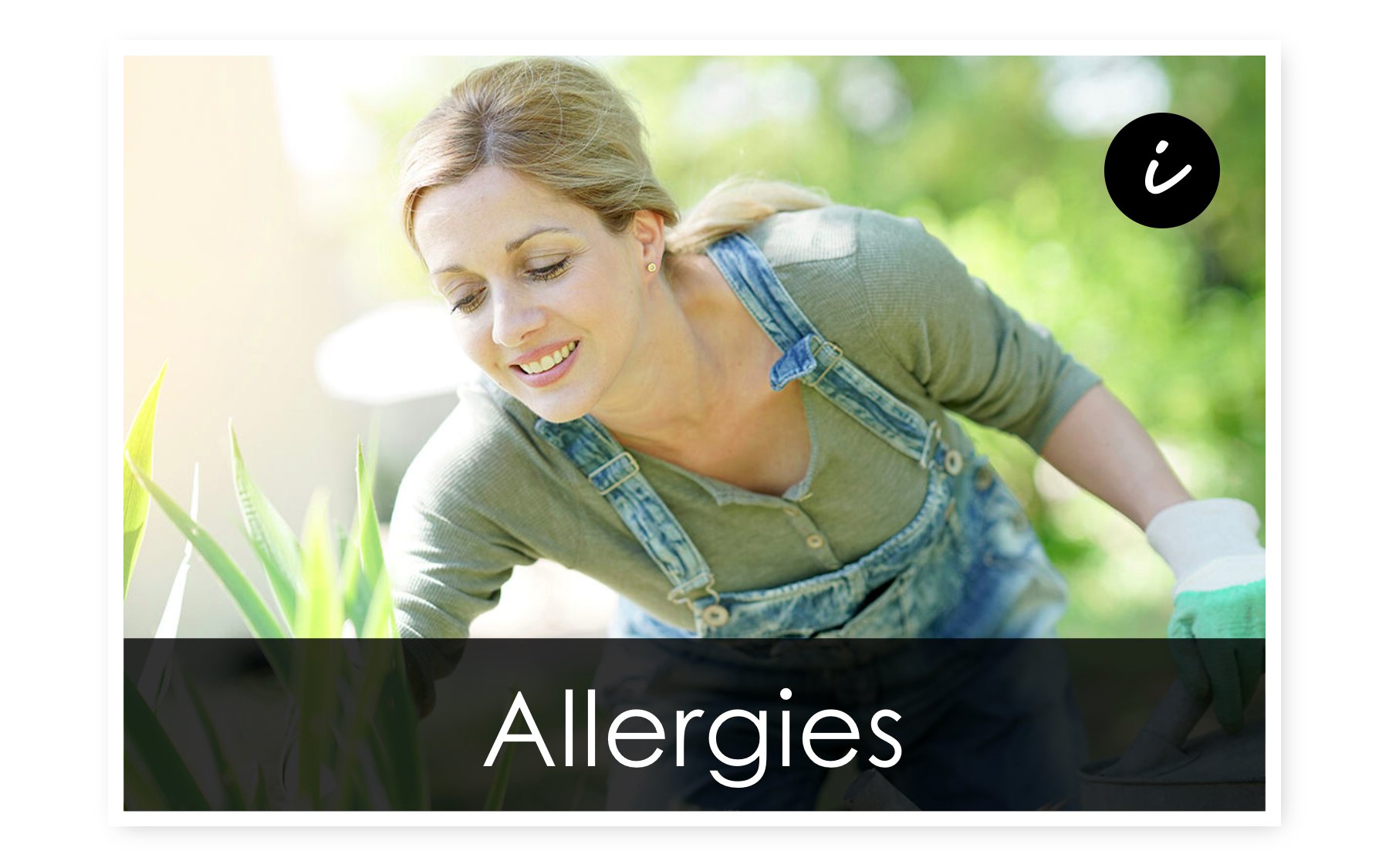 Allergy Support Products by Standard Process